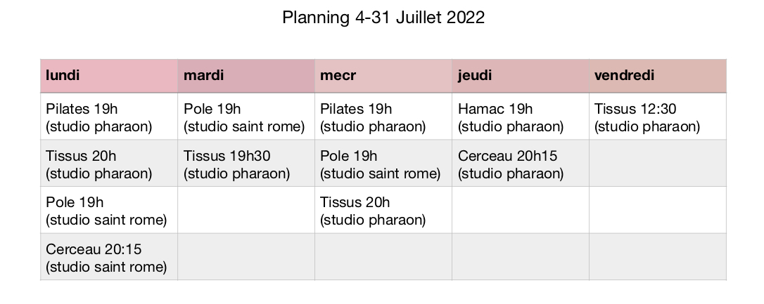 Planning Juillet PDF 